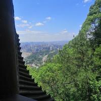 肤浅的人118头像