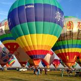 老土槐463头像