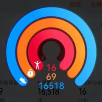 大蓄奔奔小可爱头像