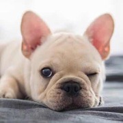 修普诺斯的个人资料头像