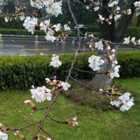 小数点世界头像