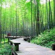 程序原689的个人资料头像