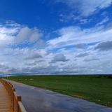 温柔布雷迪3Y7头像