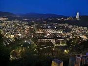 巴掌的个人资料头像