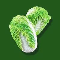 天秀的秀888头像