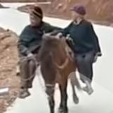 坦荡的海风Og头像