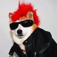 相隔在哪般头像