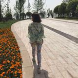 回忆如困兽173头像