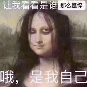 lr的个人资料头像