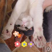 Ma733的个人资料头像