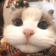 用户4724579228737的个人资料头像