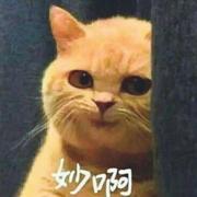 红鲤鱼与绿鲤鱼与驴与梨的个人资料头像
