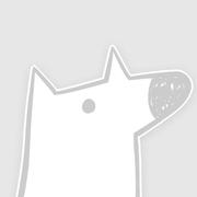 dcdc的个人资料头像