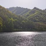 青石墩儿头像