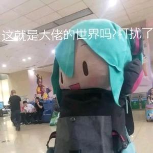 叶子头像
