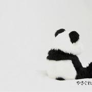 wisuky的个人资料头像
