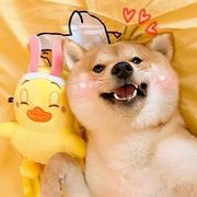 红不凡的个人资料头像