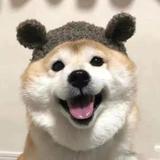 飞翔的河男人头像