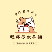 程序员木子羽的个人资料头像