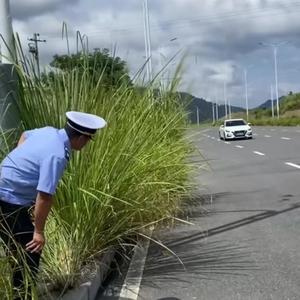 历史分享者头像