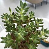 好学微风N2w头像