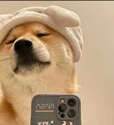 小菜鸡12138的个人资料头像