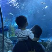 Chasel735的个人资料头像