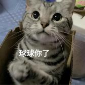 世界那么爱我头像