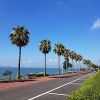 米哥540头像