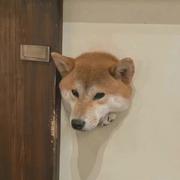 May635的个人资料头像