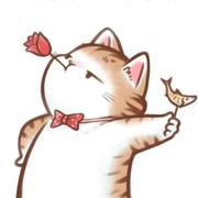 用户3753624925757的个人资料头像