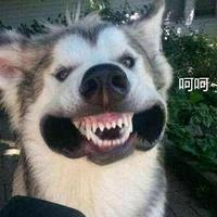 积极的糯米EnU头像