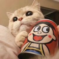 佛系干🍚人头像
