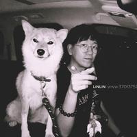 林林大步向前走头像