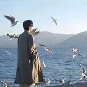 1van的个人资料头像