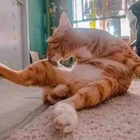 人性远比病毒险恶头像