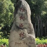江南轩1013头像