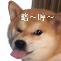 正能量高山uv2头像