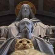 HaruHaru的个人资料头像