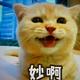 用户2048031858241头像
