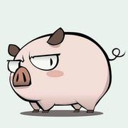 尼根的棍子的个人资料头像