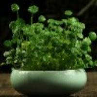 明动年华2019头像