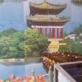 快乐145116075头像