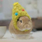 NicoM的个人资料头像