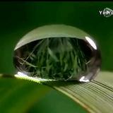 然头像