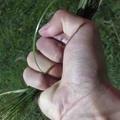 肆奢华头像
