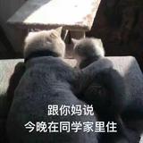 弃疾自强头像