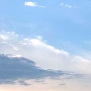 Wang991的个人资料头像