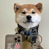 冲个梁先生zz头像