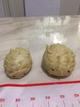 随处溜达的小蚂蚱 · 轩逸车主·车龄4年头像